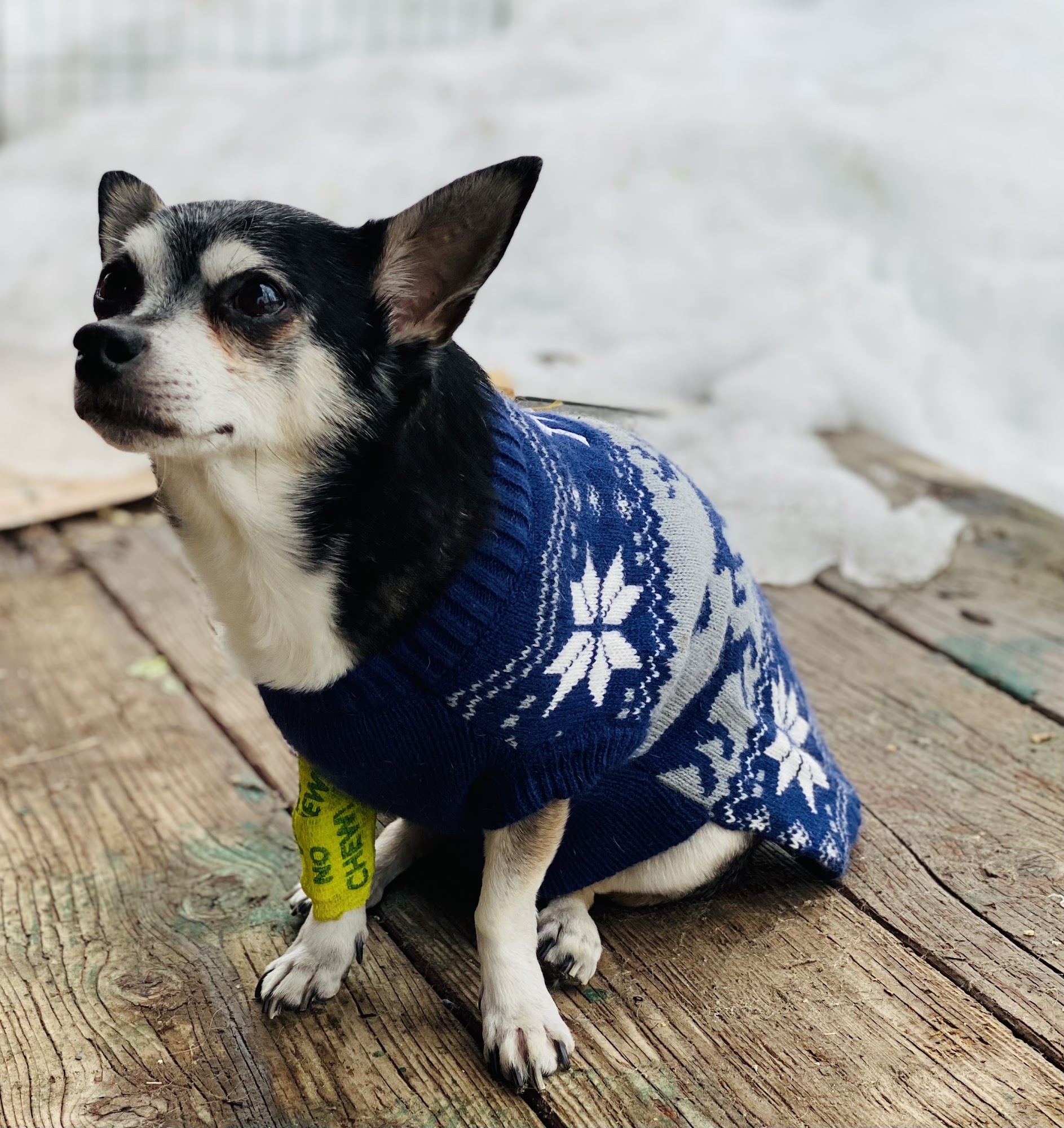 Fish Creek Veterinary Clinic